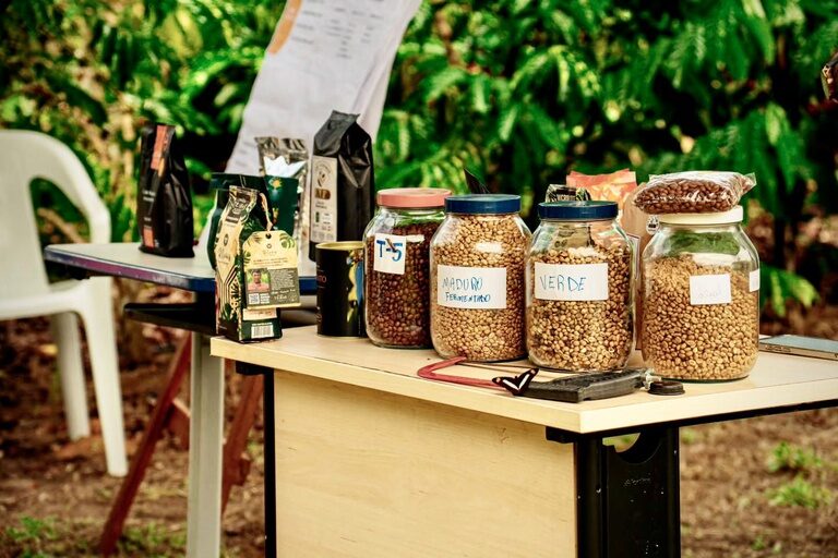 Fortalecimento da Produção de Café Paiter Suruí Recebe Apoio da Funai