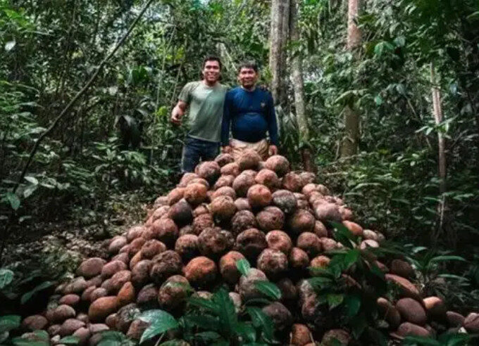 Mineração ilegal compromete sustentabilidade em Madre de Dios, no Peru