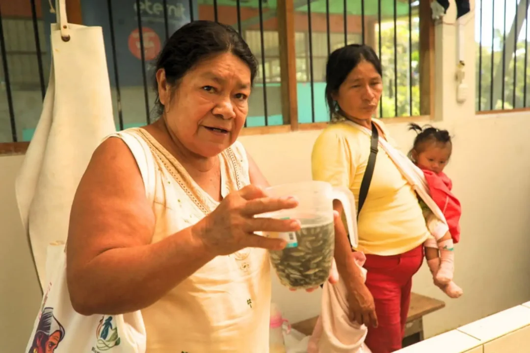Mães Awajún lideram projeto de piscicultura sustentável no Peru