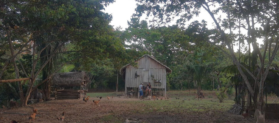 Ufac investiga zoonose ligada à caça de subsistência na Amazônia