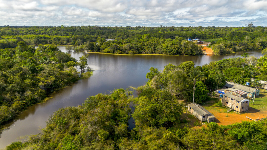 Quatro novas Reservas de Desenvolvimento Sustentável são criadas no Amazonas