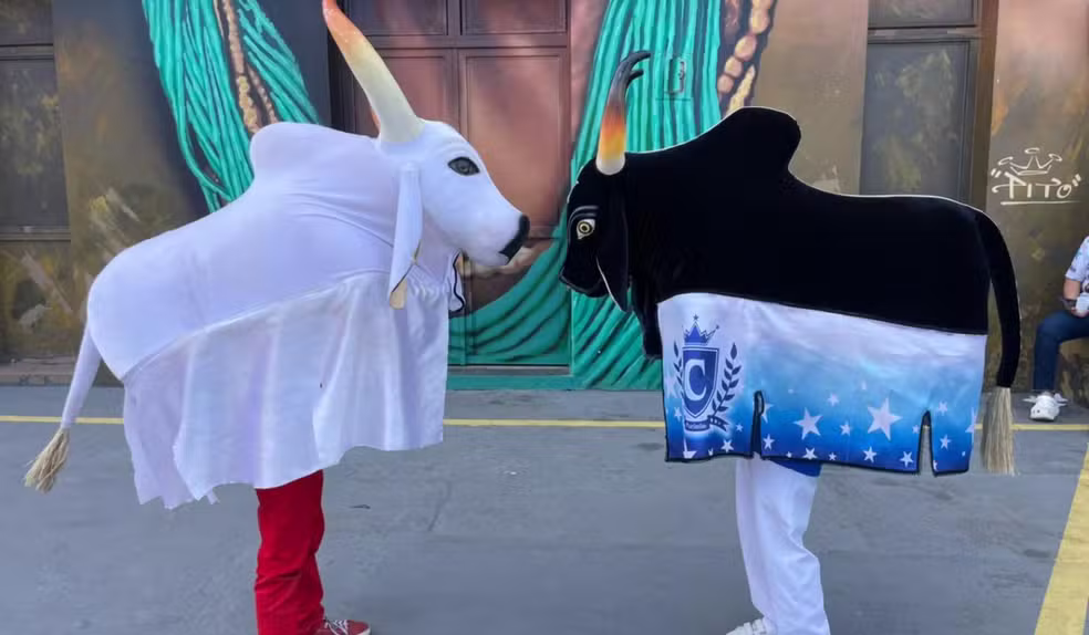 Dois Mateus e a Inusitada Rivalidade na Festa de Parintins
