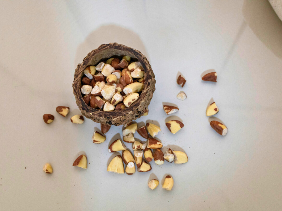 IIAP cria bebida funcional com castanha amazônica para absorção de selênio