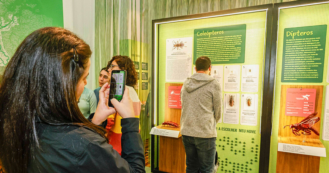 Exposição no Museu de Zoologia destaca a biodiversidade amazônica em pequenas espécies