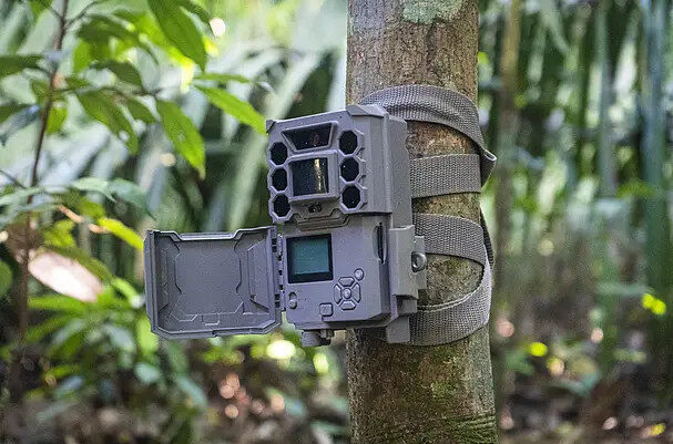 Povos Indígenas de Rondônia Unem Tradição e Tecnologia para Monitorar Biodiversidade