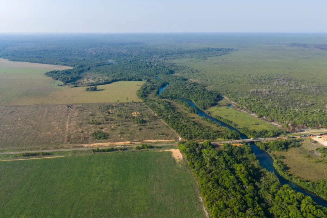 Estudo sugere proteção legal para áreas próximas a terras indígenas na Amazônia