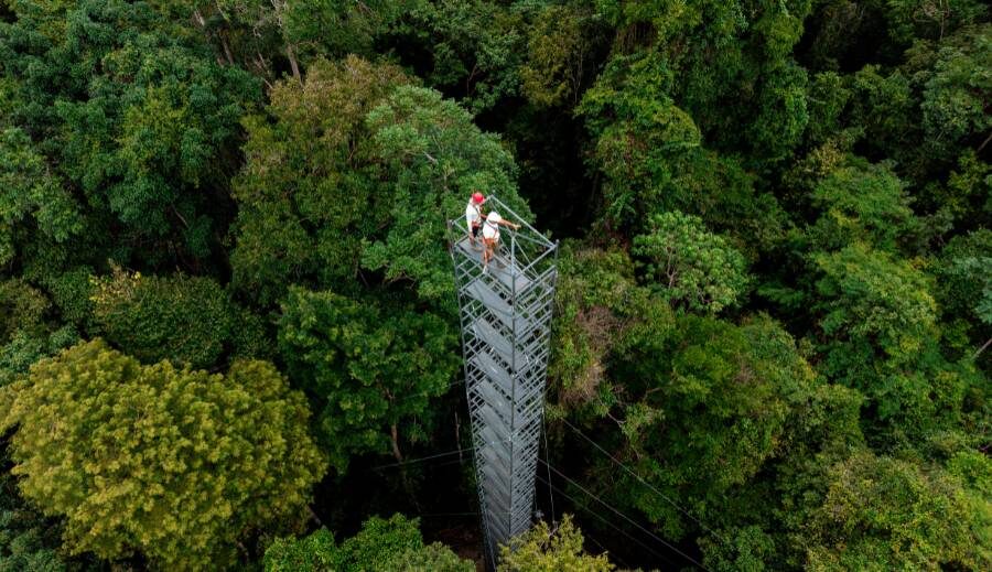 Legado de Seu Duquinha é exemplo de regeneração florestal na Amazônia