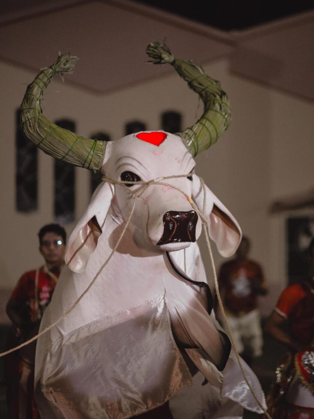 Matança do Boi: Tradicional Ritual Marca Fim da Temporada do Garantido