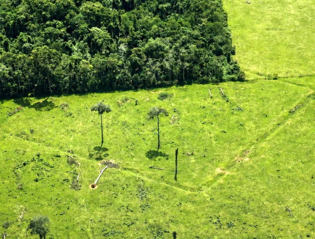 Empreendimentos em áreas com geoglifos no Acre precisam de anuência do Iphan