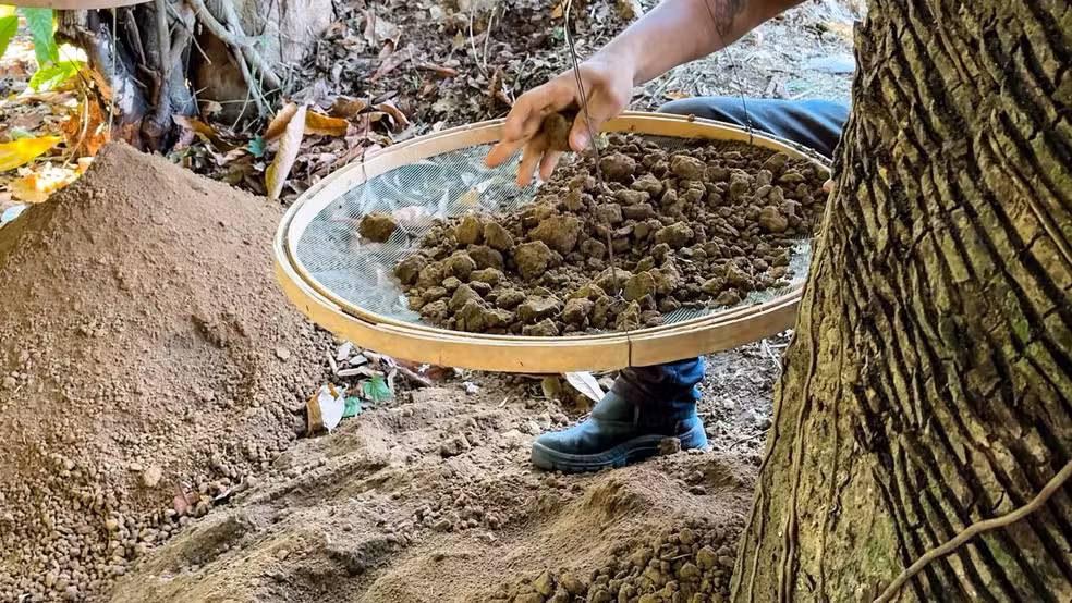 Descoberto cemitério indígena em Itacoatiara, Amazonas, durante escavações