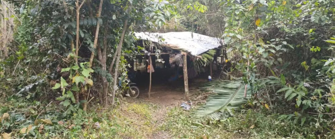 Força Nacional é enviada para proteger Terra Indígena Ituna-Itatá no Pará