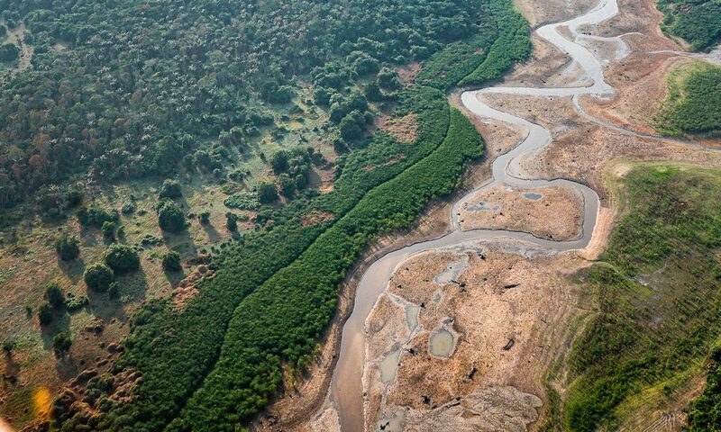 IIAP usa drones e bioinsumos para enfrentar El Niño nas florestas do Peru