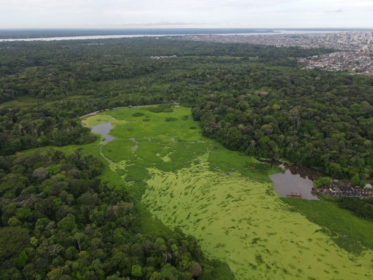 Estudo revela importância da bacia hidrográfica dos lagos Bolonha e Água Preta