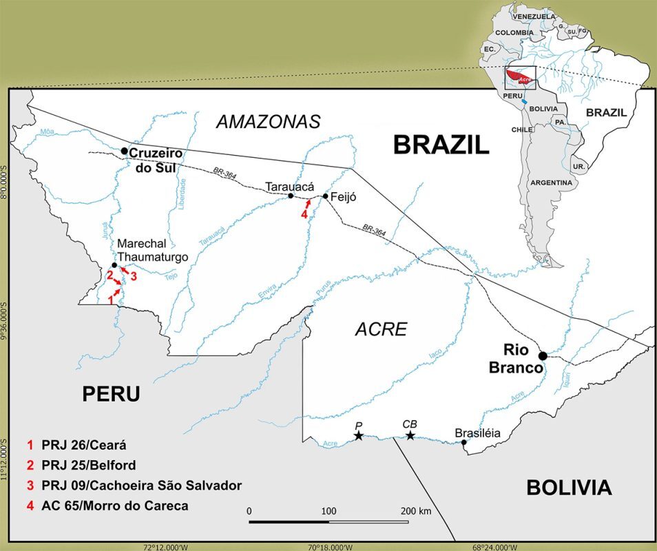 Fósseis encontrados no Acre revelam novas espécies de macacos na Amazônia