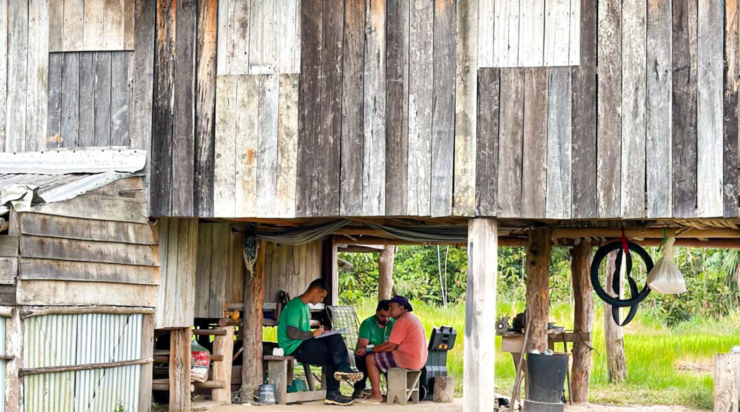 Desmatamento na Amazônia aumenta risco de doenças como Chagas e leishmaniose