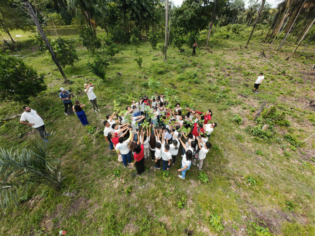 Dia da Árvore: mais de 600 árvores plantadas e 1,5 mil m² recuperados na Amazônia