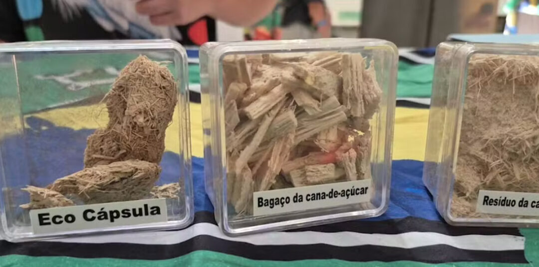 Jovem de 12 anos cria eco cápsula com resíduos de cana-de-açúcar em Macapá