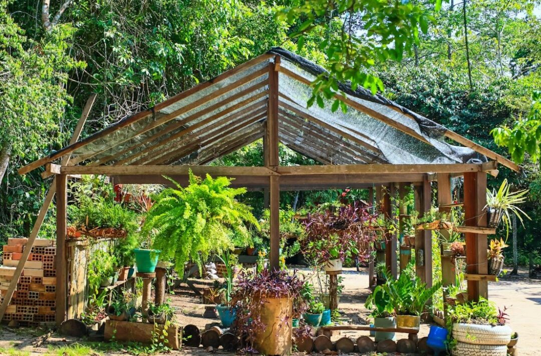 Escola da Floresta de Santarém representa Brasil em missão na Alemanha
