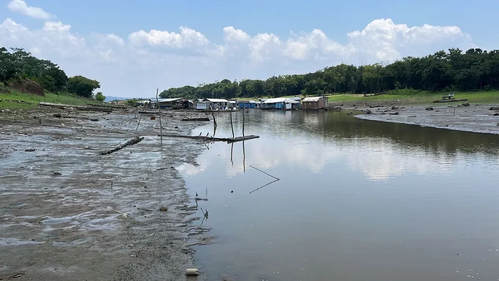 Instituto Mamirauá apresenta 41 medidas para mitigar efeitos da estiagem no Amazonas